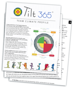 Team Climate Profile